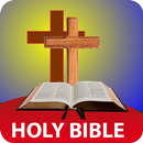 Holy Bible In French - Sainte  APK