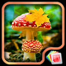 Autumn Live Wallpaper APK