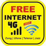 all network f internet codes icône