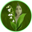 Green Leaf Photo Frames