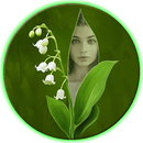 Green Leaf Photo Frames APK