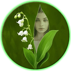 Green Leaf Photo Frames simgesi