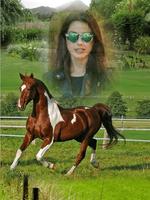 Horse Photo Frames Plakat
