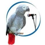 Freedom Radio Muryar Jama'a