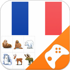 法語遊戲：詞遊戲，詞彙遊戲 圖標