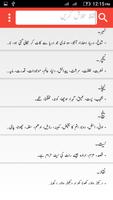 Offline Urdu Dictionary پوسٹر