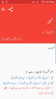 Offline Urdu Dictionary capture d'écran 1