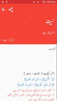 Offline Urdu Dictionary اسکرین شاٹ 2