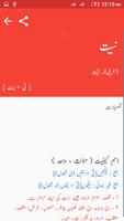 Offline Urdu Dictionary capture d'écran 2