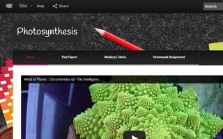 FrogLearn 포스터