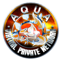AQUAMASTER VPN/UDP