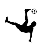 BOLA ROLANDO OFICIAL