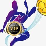 futbol vip