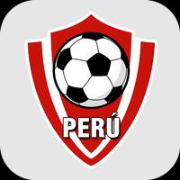 Futbol Peruano 2021 Affiche