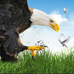 Wild Bird Hunter: Jagd Simulat