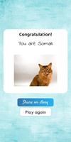 What cat breed are you? Test capture d'écran 3
