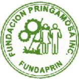 Fundacion Pringamosa