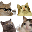 Stickers de gatos graciosos icon