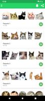Stickers de gatos graciosos Poster