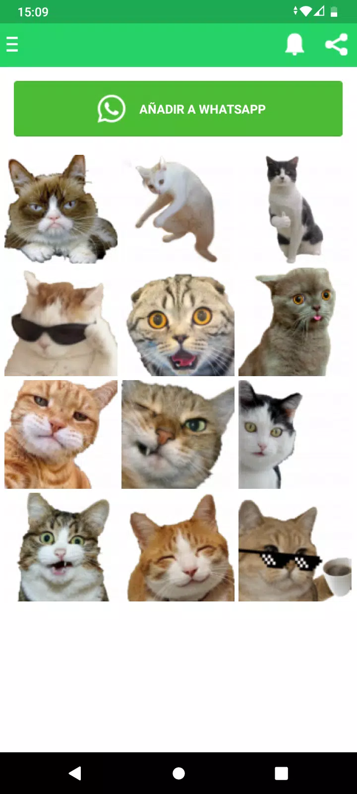 gatitos tristes Stickers for WhatsApp