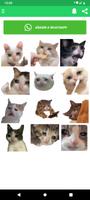 Stickers de gatos graciosos captura de pantalla 3