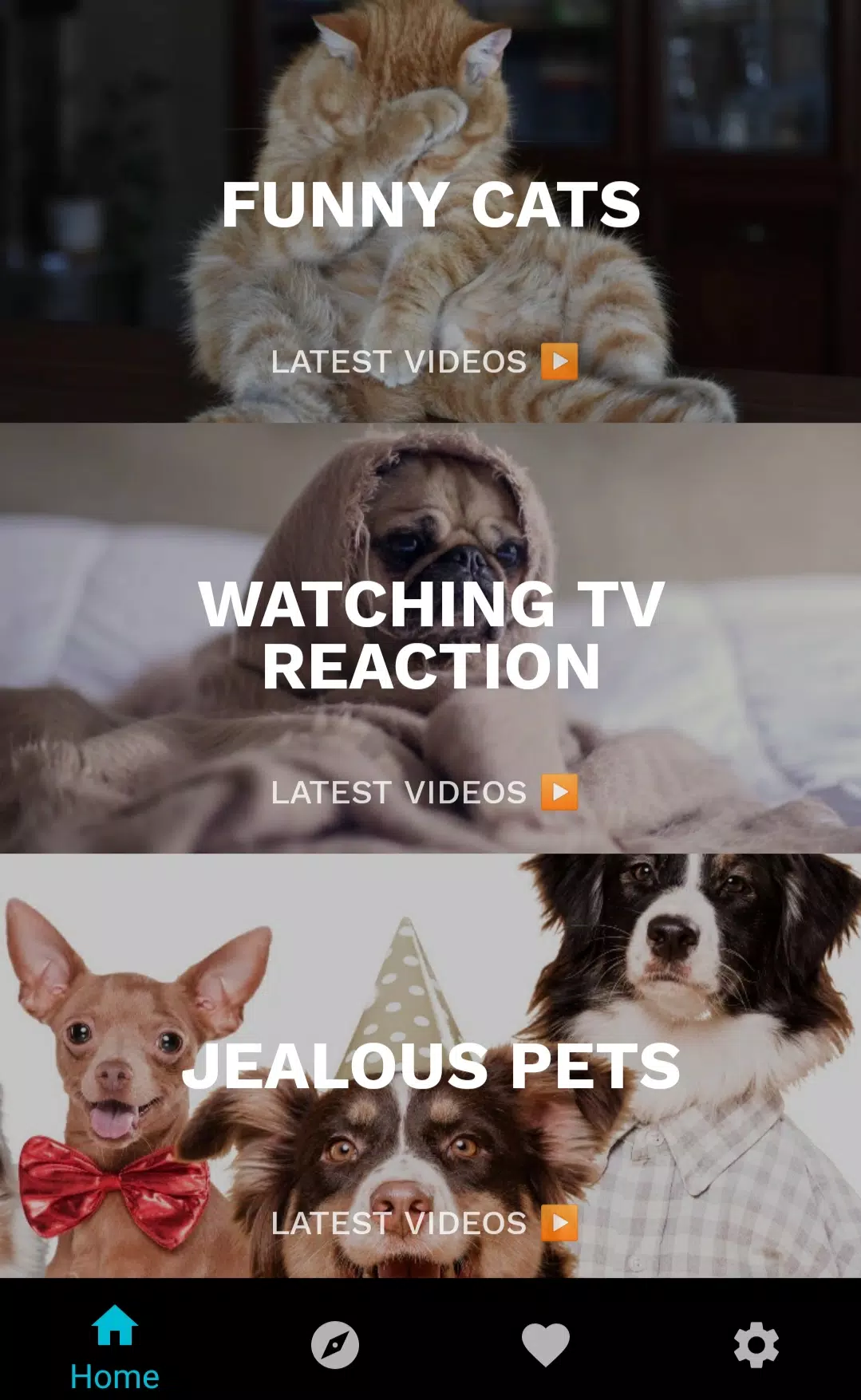 Funny Animal Videos APK for Android Download Funny Animal Videos APK for Android Download