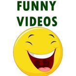 FUNNY VIDEOS FOR WHATSAPP 2019