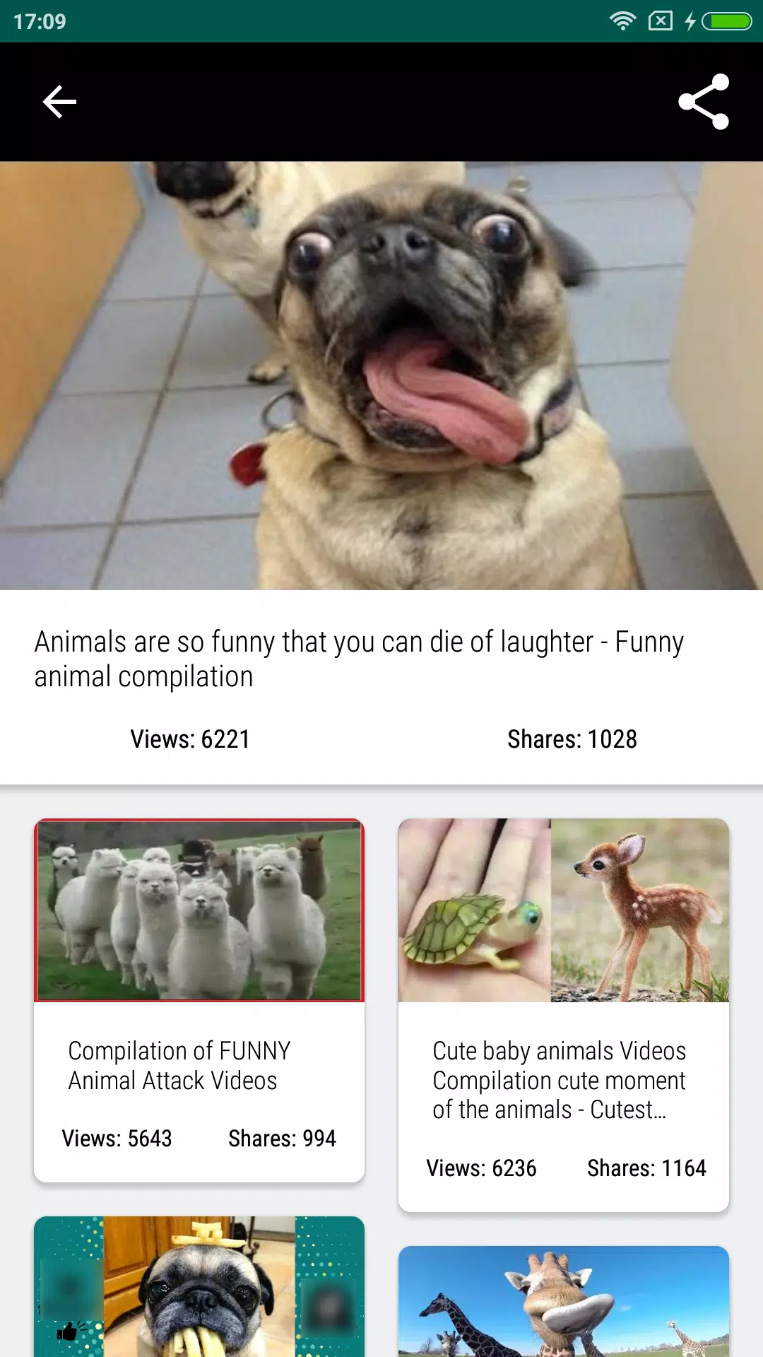Free Funny Animals Videos APK for Android Download