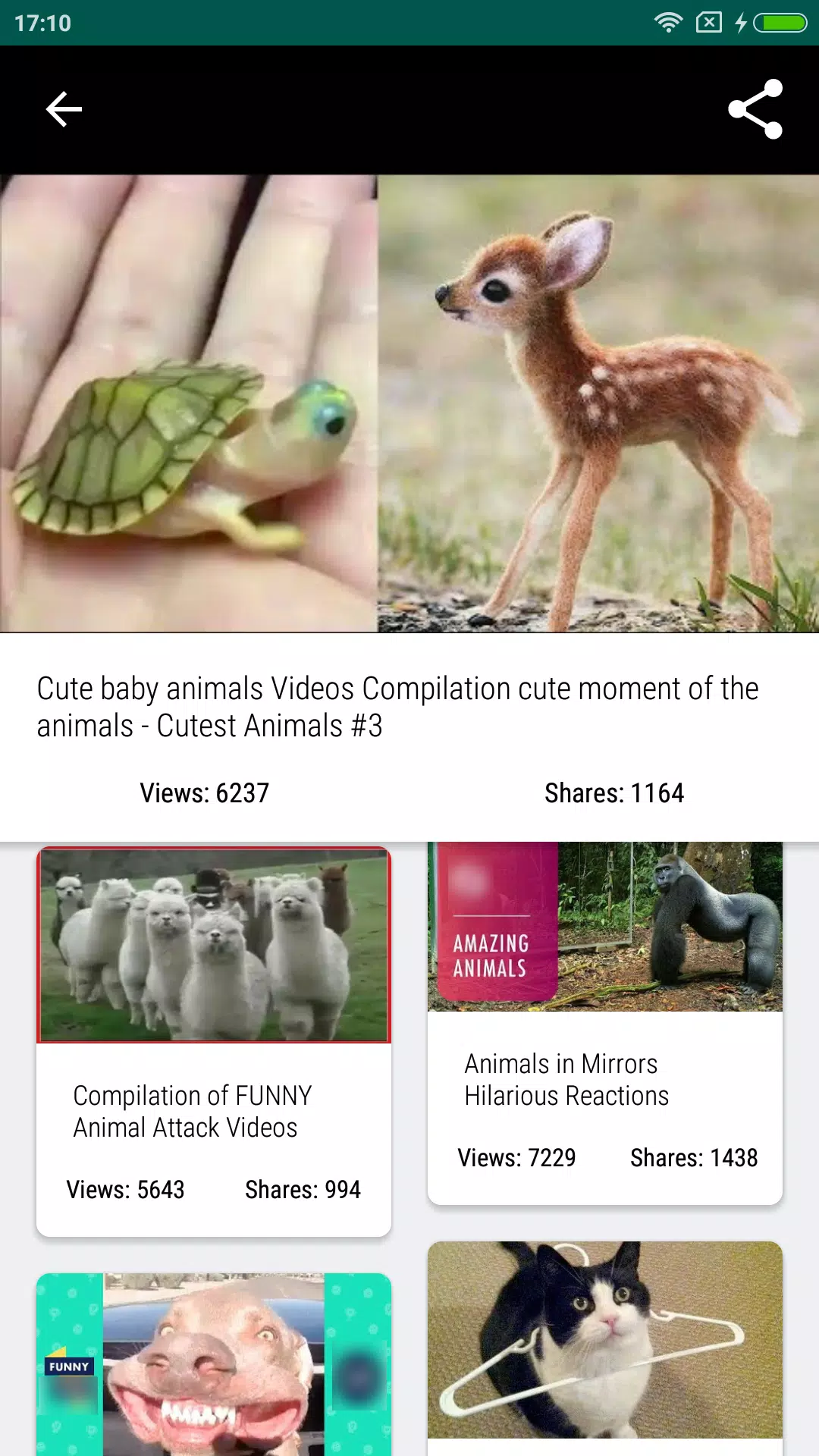 Free Funny Animals Videos APK for Android Download Free Funny Animals Videos APK for Android Download