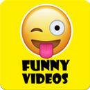 Zilli funny Video Downloader APK