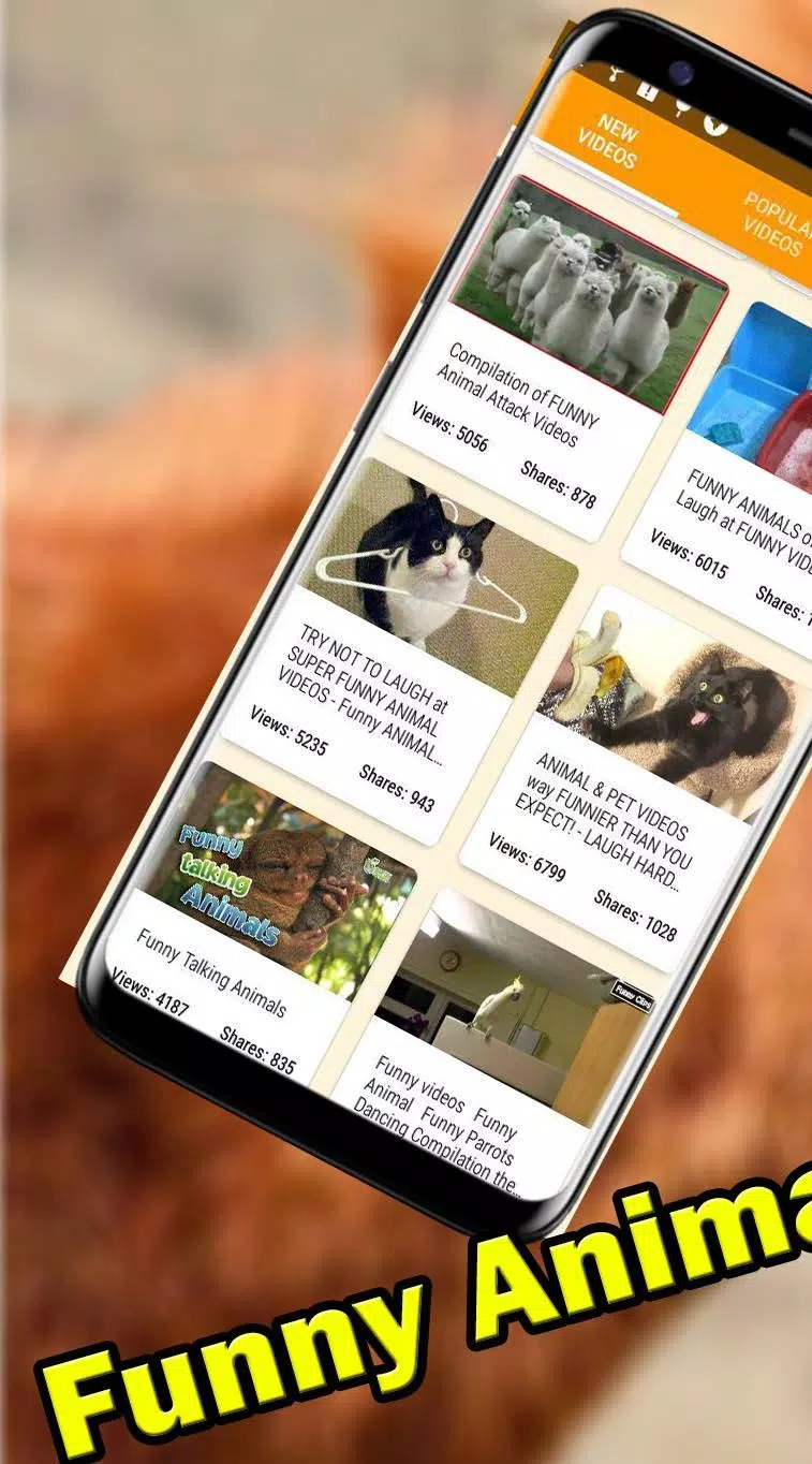 Download do APK de Vídeos de animais engraçados - gatos, cachorros para  Android
