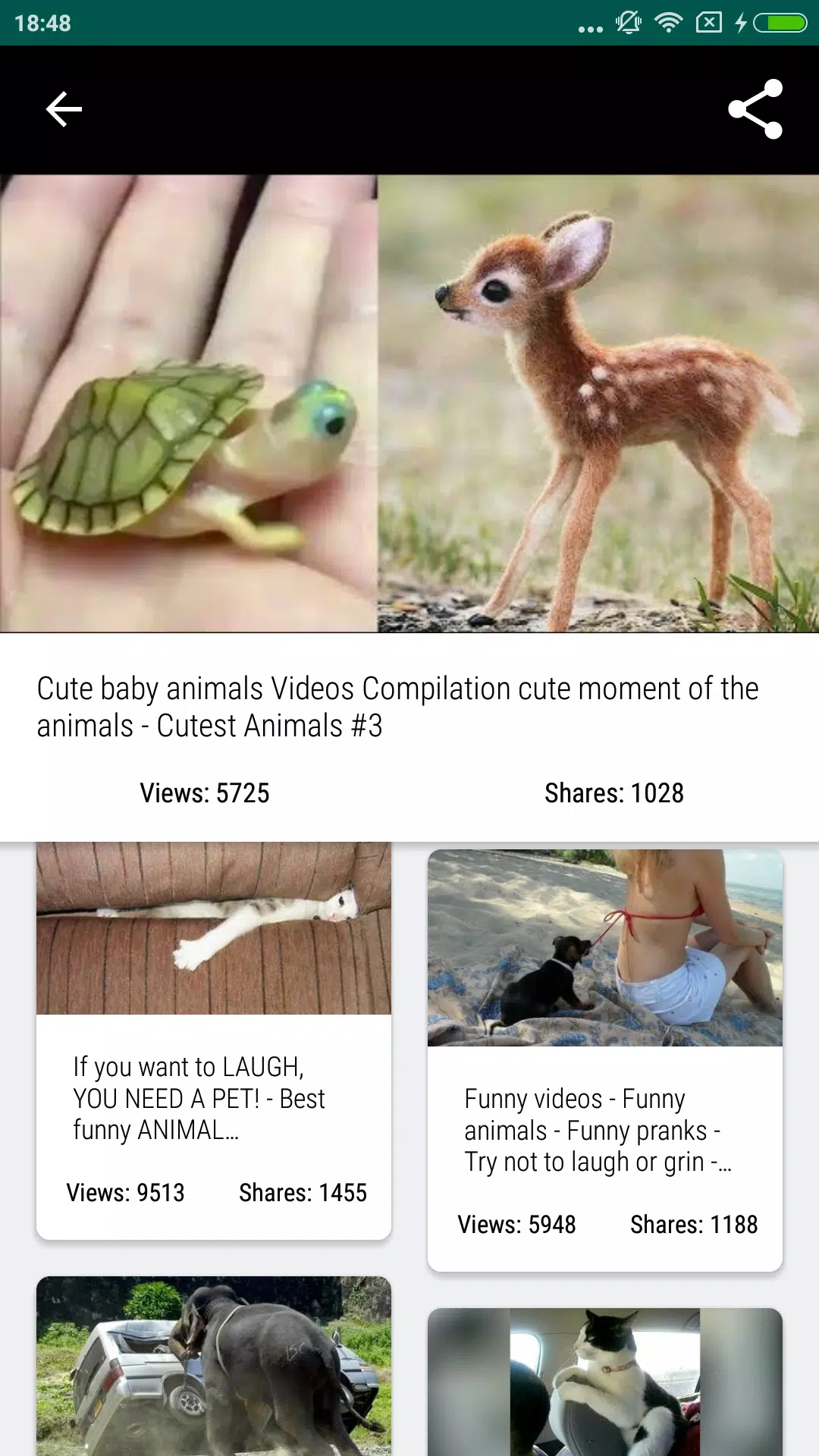 Vídeos de animais engraçados 2020 - Impossível não rir - Videos