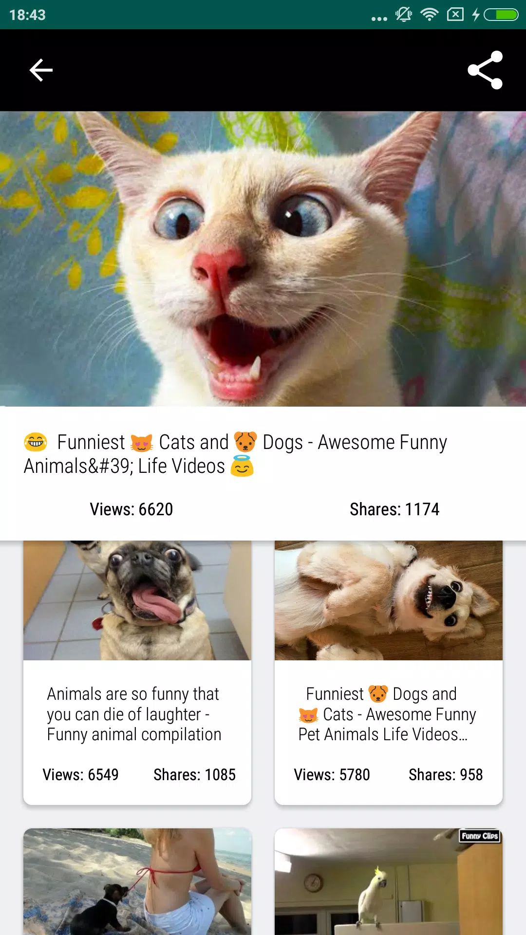 Download do APK de Vídeos de animais engraçados - gatos, cachorros para  Android