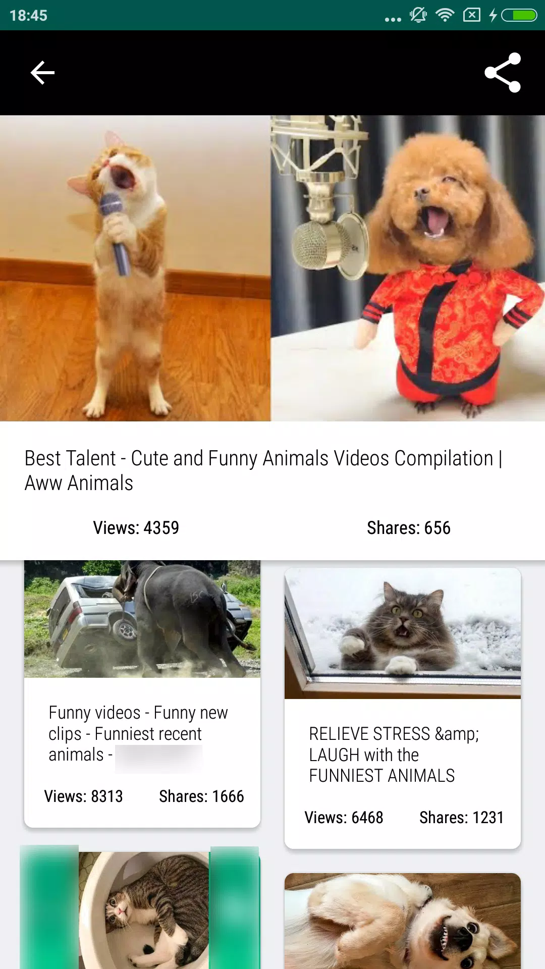 Funny Animal Videos APK for Android Download