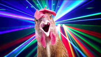 chicken song - very funny offline  2019 Cartaz