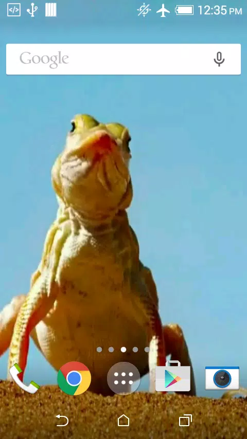 Funny Lizard Live Wallpaper APK for Android Download Funny Lizard Live Wallpaper APK for Android Download