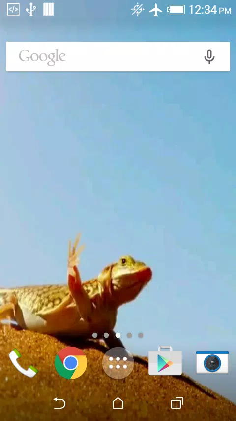 Funny Lizard Live Wallpaper APK for Android Download Funny Lizard Live Wallpaper APK for Android Download