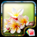 Flowers Live Wallpaper APK