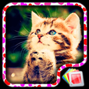 Cute Kittens Live Wallpaper APK