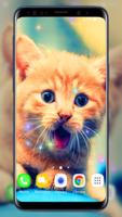 귀여운 새끼 고양이는 라이브 배경 화면 스크린샷 1
