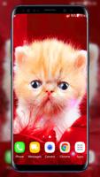 귀여운 새끼 고양이는 라이브 배경 화면 스크린샷 2