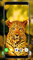 Leopard Live Wallpaper 海報