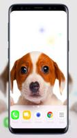 Puppies Live Wallpaper پوسٹر