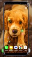 Puppies Live Wallpaper اسکرین شاٹ 1