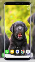 Puppies Live Wallpaper اسکرین شاٹ 2