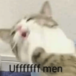 Stickers con Frases para WhatsApp