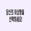 idealtype