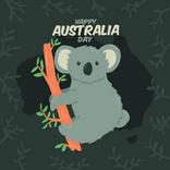 KOALA RUN