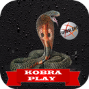 Kobra play - Futbol en vivo APK