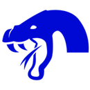 KOBRAS ULTRA MAX VPN SHOP APK